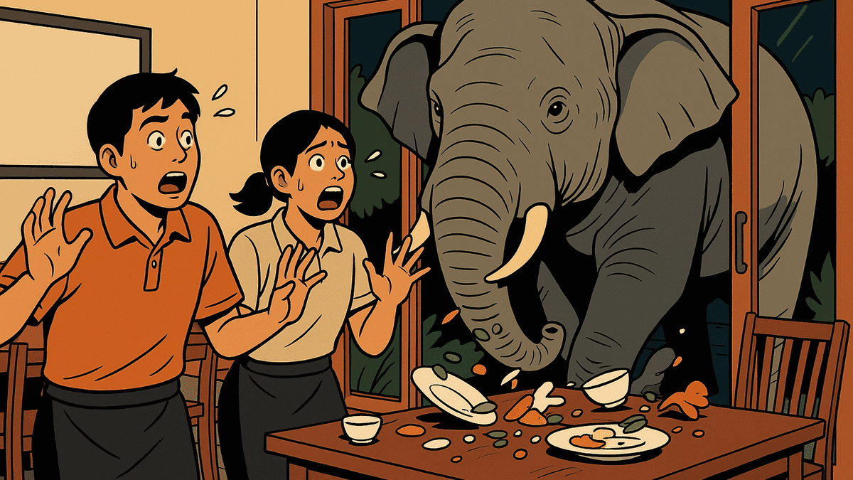 ミシュランの味が忘れられない?カオヤイの野生象が受賞店に3度目の侵入